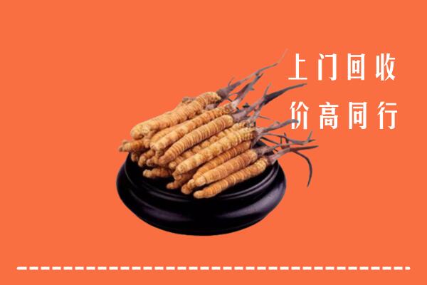 高价求购：南宁江南区回收散虫草