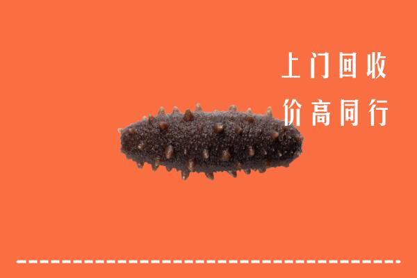 高价求购：南宁江南区回收海参