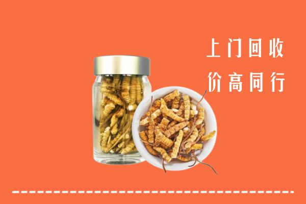 收购行情：南宁江南区回收冬虫夏草