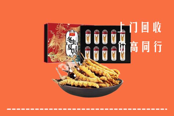 南宁江南区回收虫草